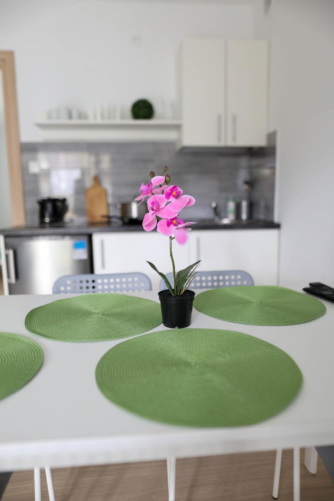 Apartamenty Poddabek- Basen Kryty, Sauna, Animacje Dla Dzieci , Malpi Gaj, Baseny Na Dachu Poddąbie Eksteriør billede